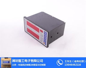 泰州控制器 潍坊智工 BZ2046型微控制器生产厂家